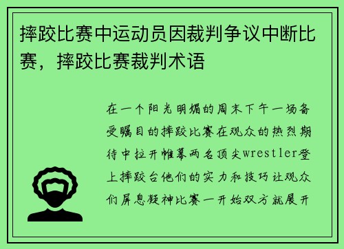 摔跤比赛中运动员因裁判争议中断比赛，摔跤比赛裁判术语
